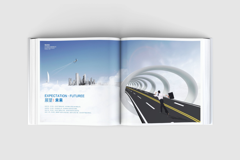 平川区画册设计